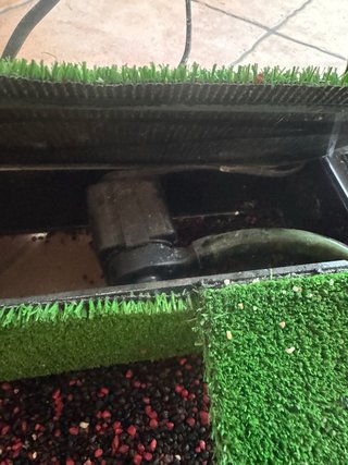 Terrario para tortugas con rampa y bomba