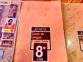 Lote 3 Libri EGB Lingua Anaya 7º e 8º