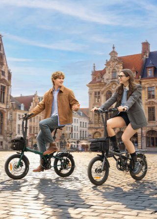 Bici Eléctrica Plegable ENGWE Zip