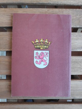 Manual práctico de historia de los reyes de León