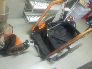 Carro remolque para bicicleta