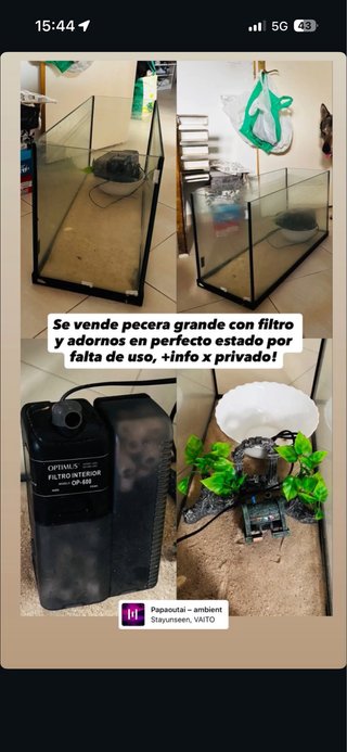Pecera 100L con todo