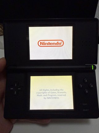 Nintendo DS Lite nero + gioco nintendogs