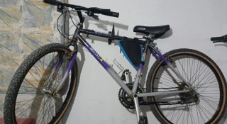 Bicicleta de Montaña