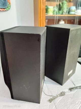 Altavoces Sony SS-A300.