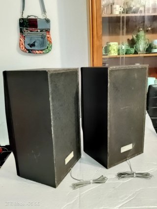 Altavoces Sony SS-A300.