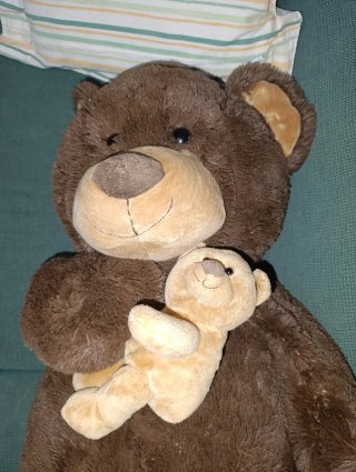 Oso Peluche Gigante Max & Sax + Osito