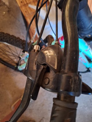 Bicicleta mujer