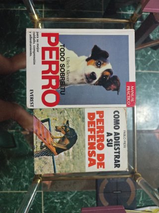 Lote de libros