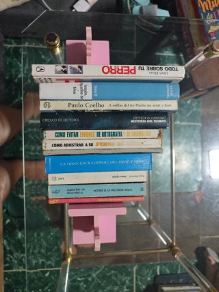 Lote de libros