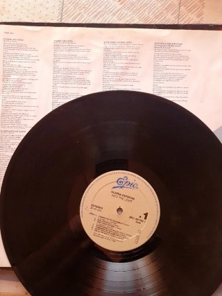 Gloria Estefan Into the Light LP