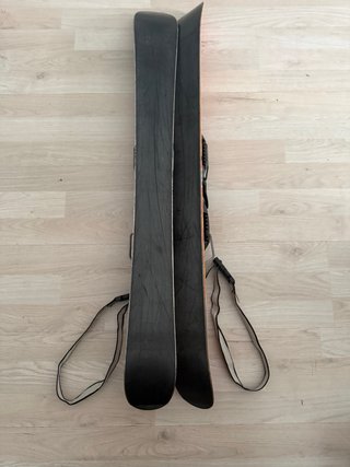 Esquís Fischer Web XL + Funda transporte
