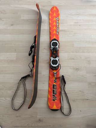 Esquís Fischer Web XL + Funda transporte