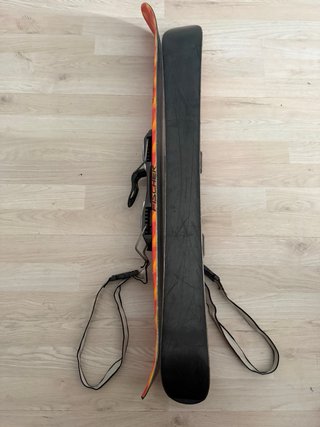 Esquís Fischer Web XL + Funda transporte