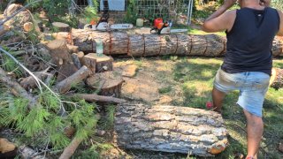 Jardinería