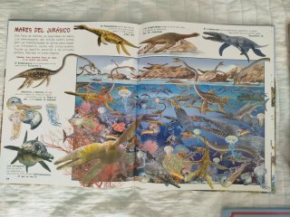 Libros infantiles de buscar