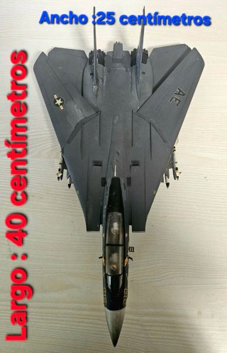 Maqueta Avión Grumman F-14 Tomcat