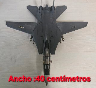 Maqueta Avión Grumman F-14 Tomcat