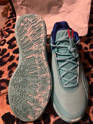 Nike Giannis Freak 7 Zapatillas Azul/Verde