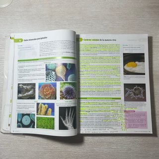 Libro de texto Biología (2 Bachillerato)