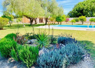 Vendo coqueta casa de campo en Puerto Real..