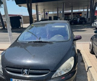 Peugeot 307 2004
