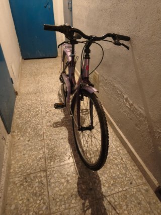 Bicicleta Morada Niña/Mujer