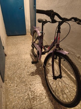 Bicicleta Morada Niña/Mujer