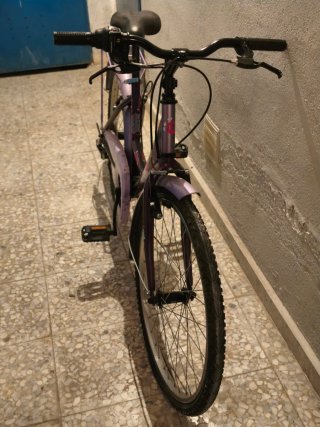 Bicicleta Morada Niña/Mujer