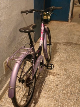 Bicicleta Morada Niña/Mujer