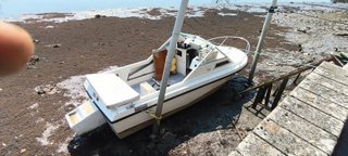 Barco fueraborda blanco