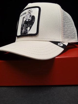 Gorra Goorin Bros Vulture Beige Talla única