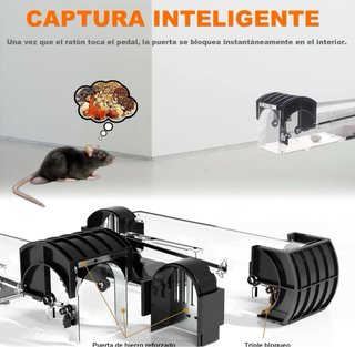Trampa para ratones y ratas (captura viva)