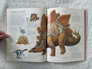 Libro Vintage 1994 El Interior de los Dinosaurios