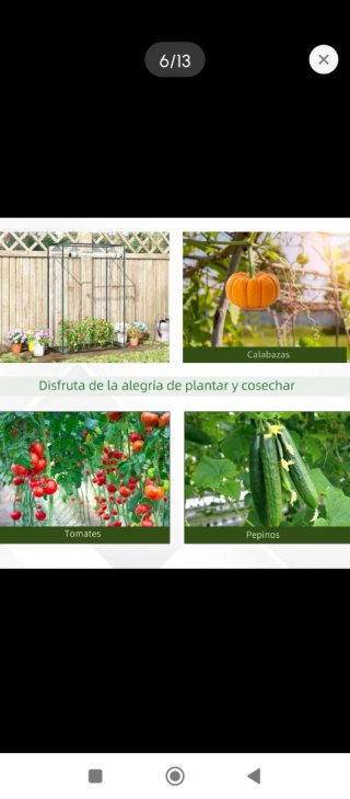 Invernadero Jardín Plantas Exterior