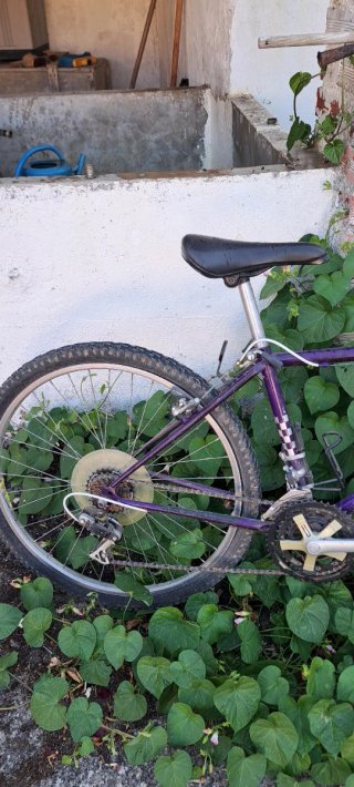 Bicicleta Montaña Peugeot Explorer D30 Morada