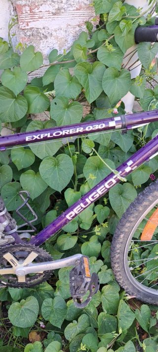 Bicicleta Montaña Peugeot Explorer D30 Morada