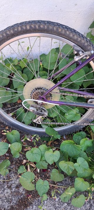 Bicicleta Montaña Peugeot Explorer D30 Morada