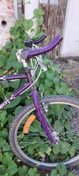 Bicicleta Montaña Peugeot Explorer D30 Morada