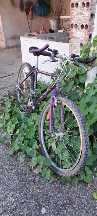 Bicicleta Montaña Peugeot Explorer D30 Morada