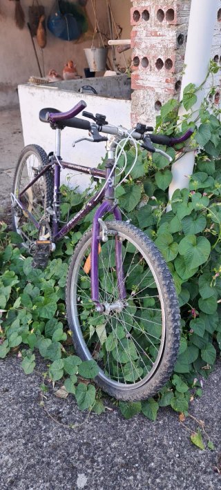 Bicicleta Montaña Peugeot Explorer D30 Morada