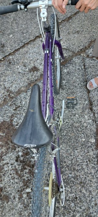Bicicleta Montaña Peugeot Explorer D30 Morada