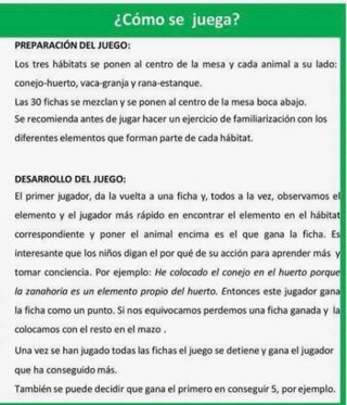 Juego Little Association JECO