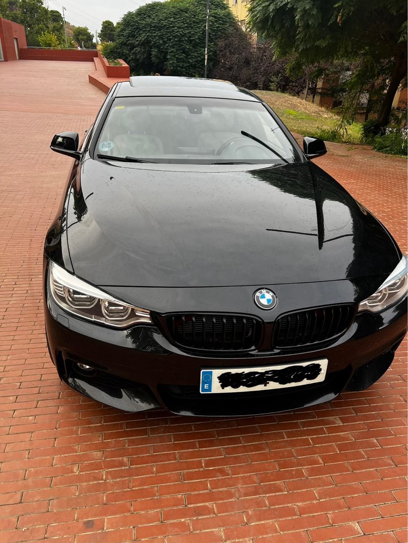 BMW Serie 4 420 d Gran Coupé xDrive 2015, foto 2