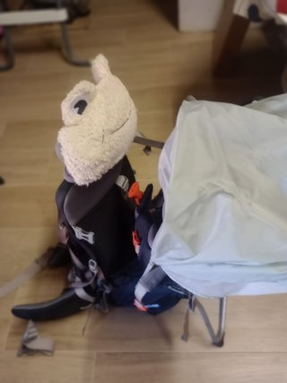 Mochila portabebés montaña