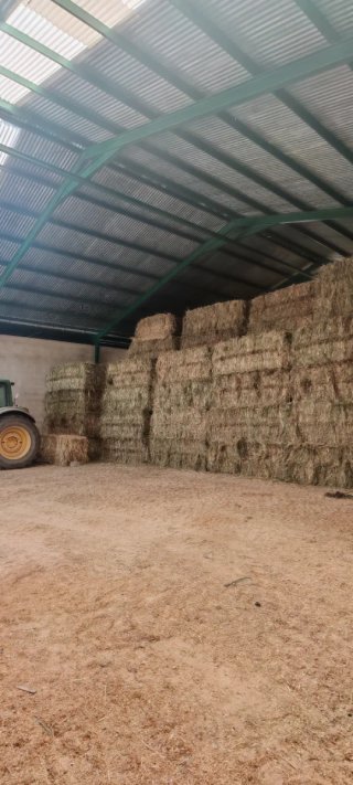 Alpacas de avena forrajera (400 kg)