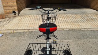Triciclo Eléctrico Monty