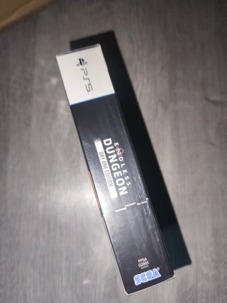 Endless Dungeon Day One Edition PS5 Precintado