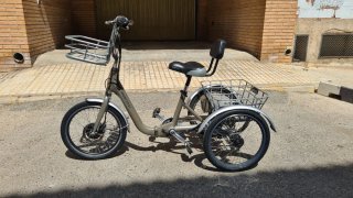 Triciclo Eléctrico Monty