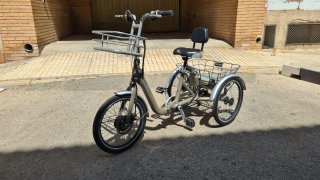 Triciclo Eléctrico Monty